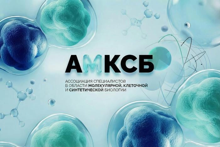 Интернет портал АМКСБ